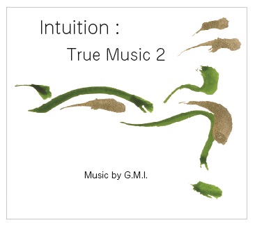『Intuition True Music２』の製品写真